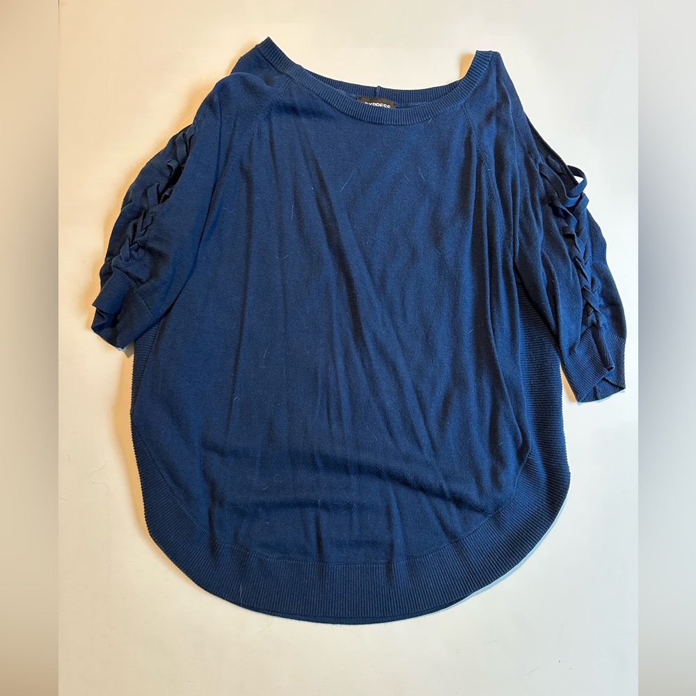 Express blue sweater